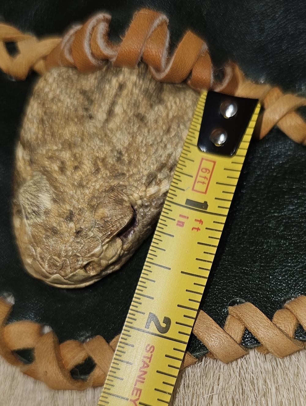 Rattlesnake Purse with Leather Braided Trim - Tan & Black - Picture 11 of 17